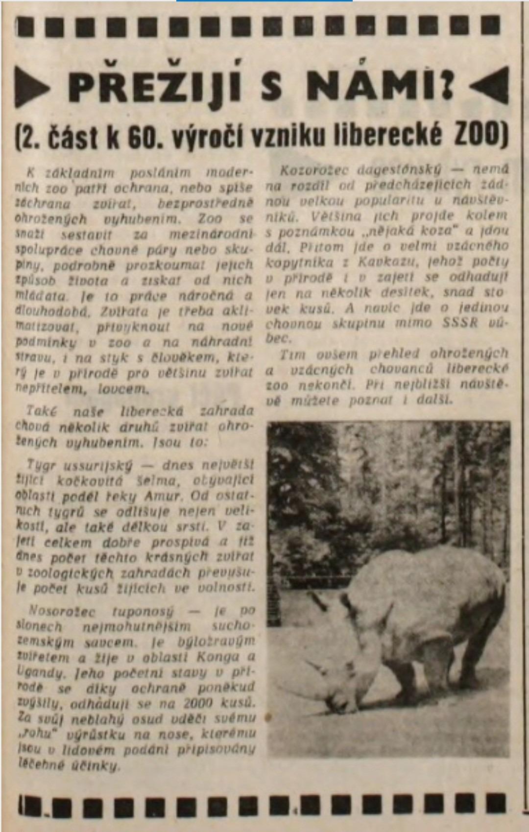 Vpřed 27.července 1979 - tygr ussurijský (archiv J.Čiháčková)