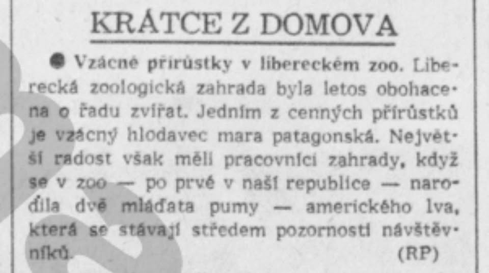 Rudé právo 21.srpna 1955 (archiv R.Kittler)