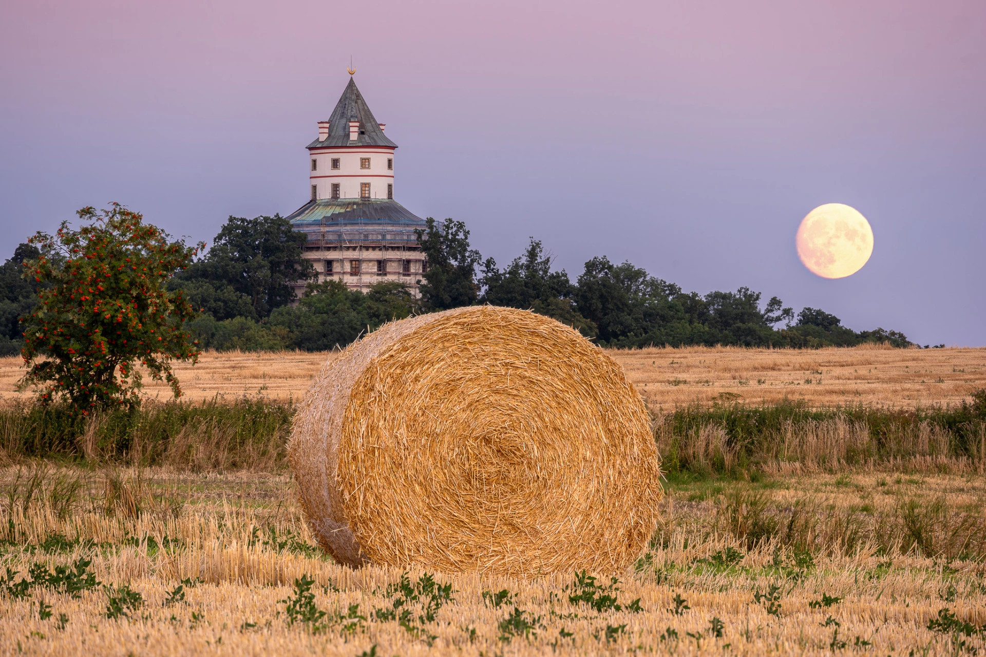 od obce Vesec směrem k Humprechtu a k Sobotce. (c) Václav Bacovský | krasnesvetlo.cz