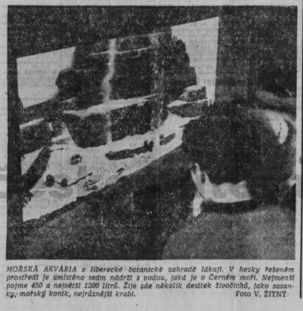 Rudé právo 5.října 1965 - akvária v botanické (archiv R.Kittler)