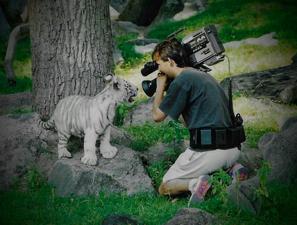 Léta páně 1994. Mladý, vlasatý a zuřivý kameraman s mladým bílým tygříkem v Zoo Eskilstuna. Už je to 31 let, kdy z této Zoo putovali bílí tygři do liberecké Zoo. Měl jsem tu čest být u toho. Samec Columbus a samice Isabella. autor příspěvku Radim Hlaváč