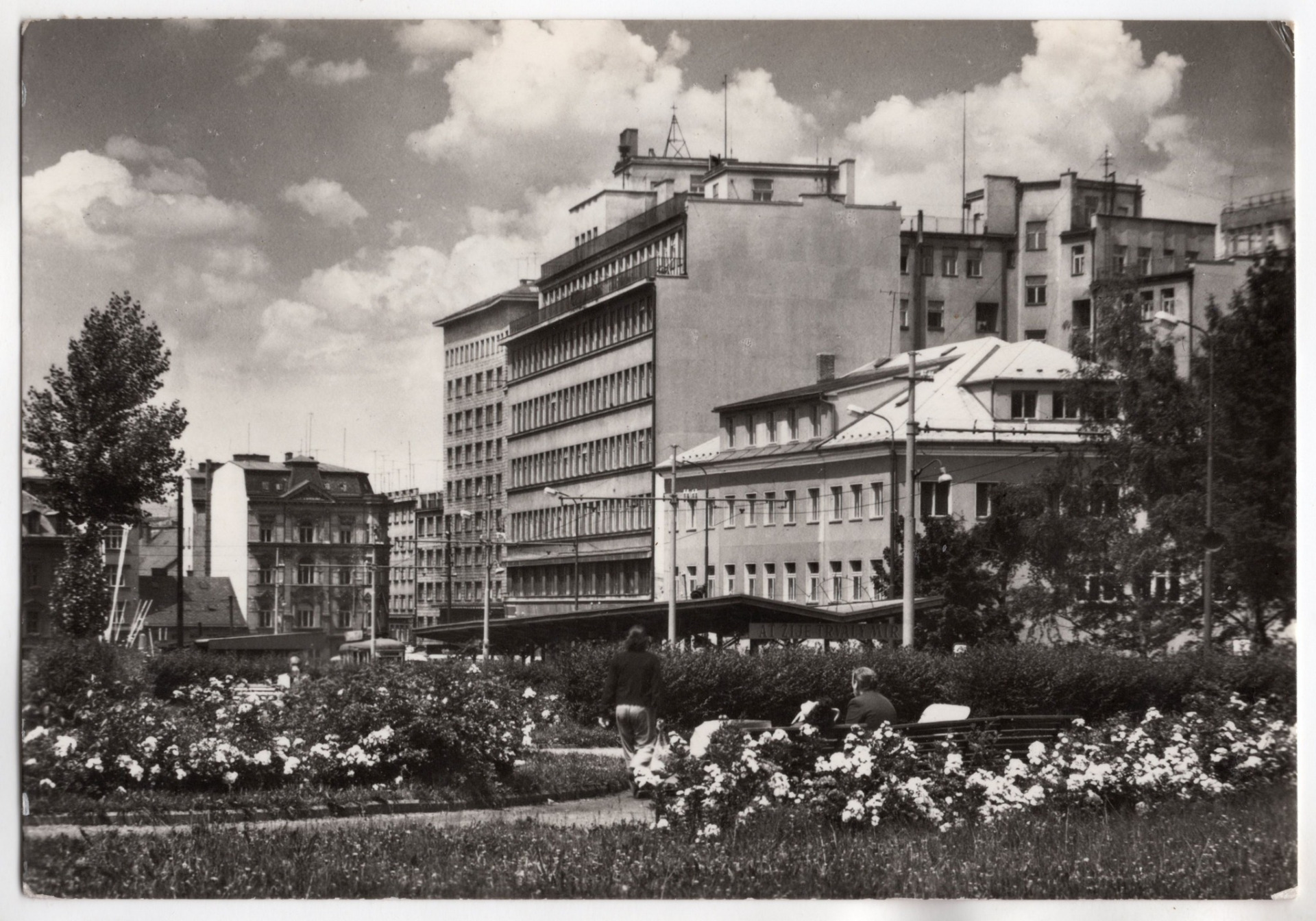 archiv Honza Půlpán