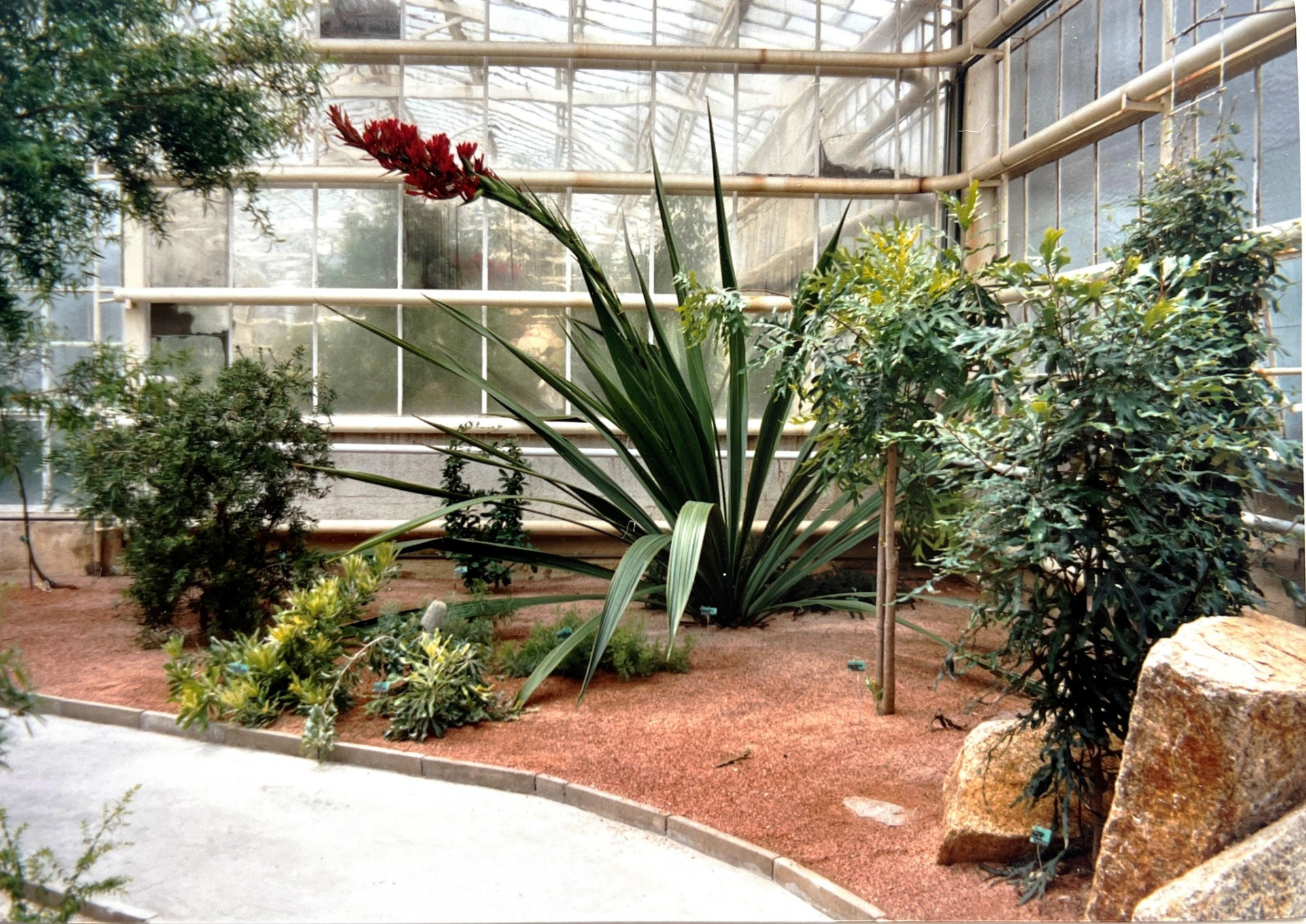 foto ze staré botanické zahrady před 31. lety (zdroj: archiv botanické zahrady)