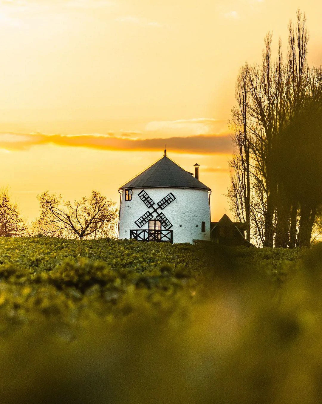 Scholzeho větrný mlýn v Uhelné při západu slunce! Foto: Petr Holan (@petrholan_)