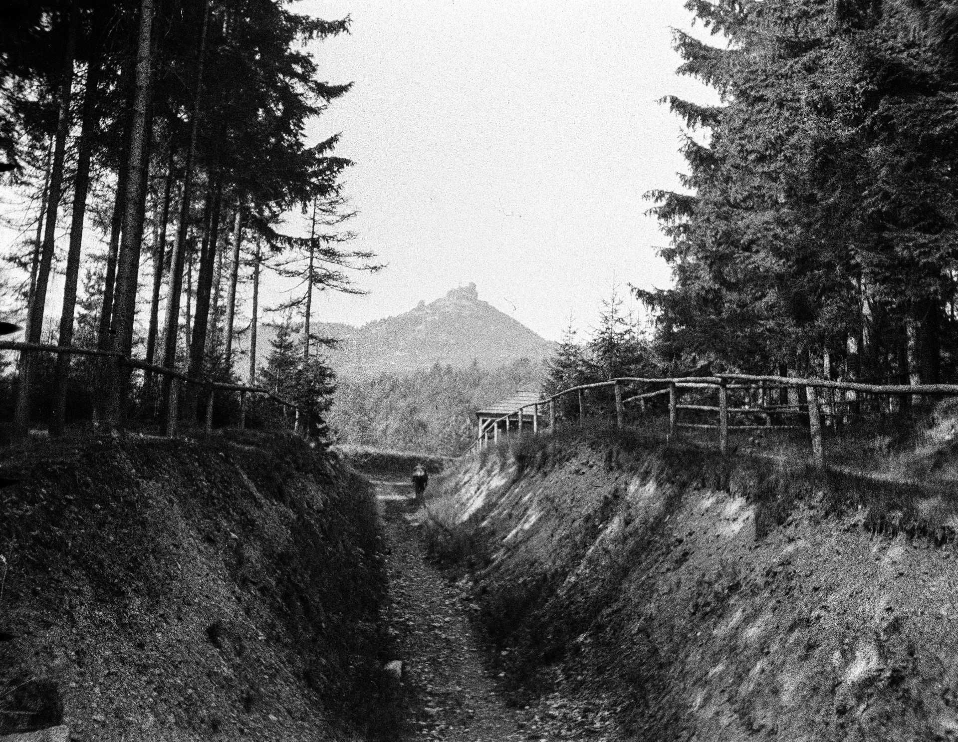 Paul Schulz: Blick zum Jeschken (Ještěd), 1942 (zdroj: https://www.deutschefotothek.de)