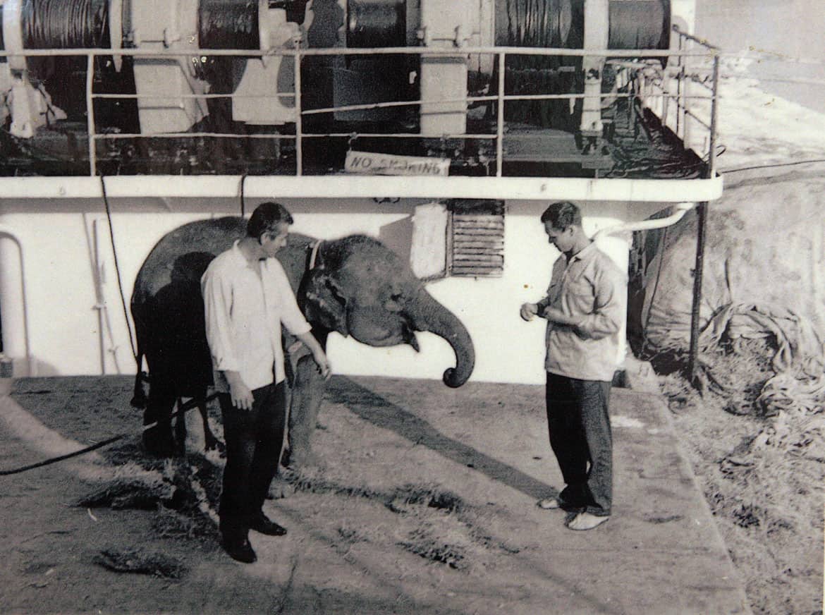 první slůně v zoo Liberec - Kitty (1957)