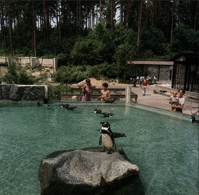 archiv Pohádkový Honza