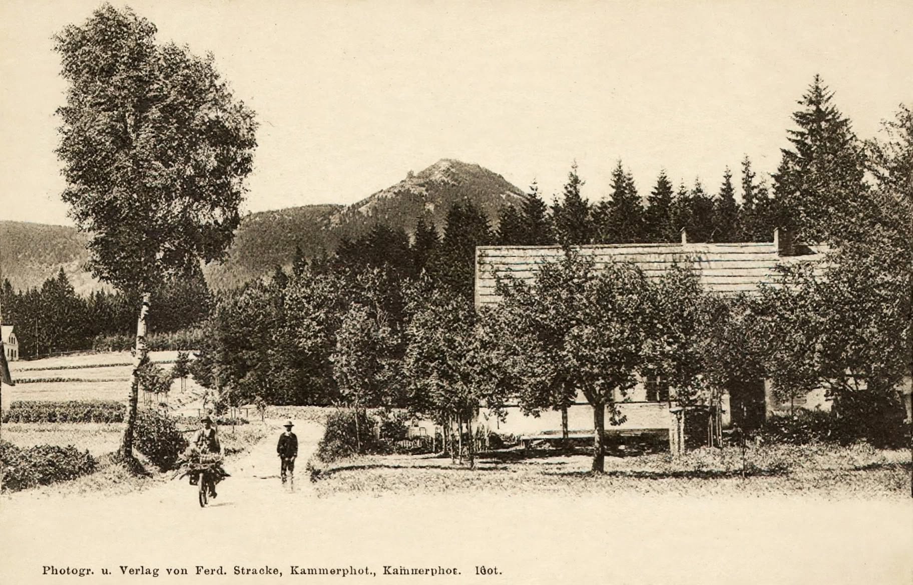 Saňkařská ulice v roce 1904